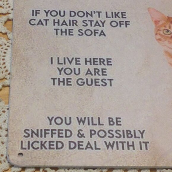 Humorous Cat truisms, metal wall decor - Picture 2 of 5